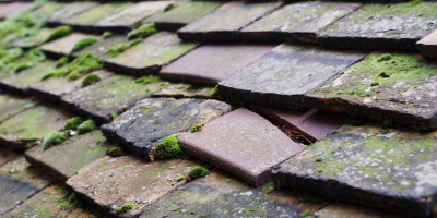 Withington roof repair costs